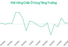 Market Liquidity Continues to Decline: Dragon Capital Highlights Critical Message