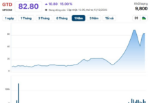 “Stock Soars 600% in One Month, Exit Value Surges 10x Above Opening Price”