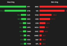 Foreign Block Reverses Flow, Injects $12.5M to Scoop Up Blue-Chip Stock as VN-Index Surges 25 Points