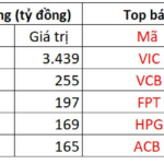 Record Foreign Inflow: Investors Pour $146 Million into Billionaire Pham Nhat Vuong’s Stocks on December 3rd