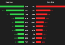 Foreign Investors Reverse Course, Pour Hundreds of Billions into Two Stocks in December 17th Session