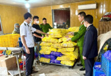 Over 700 kg of Contaminated Chicken Feet Seized Before Lunar New Year Sales