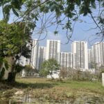 Exciting News for Real Estate Buyers, Sellers, and Landlords