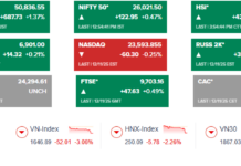 Global Stocks Soar to New Highs, While Vietnam’s Market Hits Rock Bottom