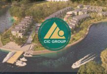 Year-End Shakeup: Key Leadership Changes Sweep Across Publicly Traded Companies