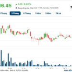 QCG Stock Plunges for the Second Consecutive Session as VN-Index Takes a Sharp Dive