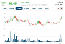 QCG Stock Plunges for the Second Consecutive Session as VN-Index Takes a Sharp Dive