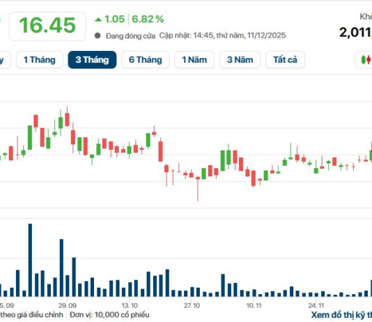 QCG Stock Plunges for the Second Consecutive Session as VN-Index Takes a Sharp Dive
