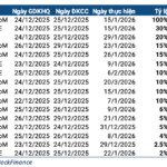 Christmas Week Bonanza: DGC Group Announces Massive Dividend Payout for December 22-26