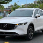 Affordable SUVs in Vietnam Hit Record Lows: Japanese and Korean Models Slash Prices, Setting New Segment Benchmarks This Year