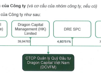 Dragon Capital Seeks to List Shares on UPCoM