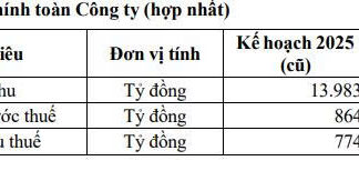 Cà Mau Fertilizer Raises 2025 Profit Target to 1.448 Trillion VND