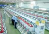 Vietnam Garment and Textile Group (VGT) Projects 2025 Revenue at Nearly VND 19 Trillion, with Profits Hitting VND 1,355 Billion—Second-Highest in History