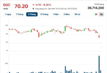 Duc Giang Chemicals (DGC) Stock Rebounds, Nearly 10% of Capital Trades Hands in a Single Session