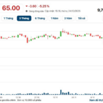 DGC and QCG Stocks Continue to Plummet as VN-Index Surpasses 1,780 Points