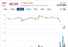 DGC and QCG Stocks Continue to Plummet as VN-Index Surpasses 1,780 Points