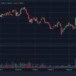 How is Duc Giang Chemical Group Performing in the Market?
