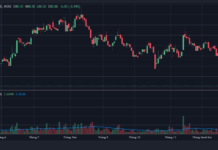 How is Duc Giang Chemical Group Performing in the Market?