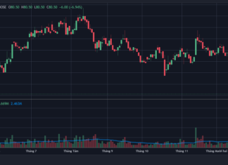 How is Duc Giang Chemical Group Performing in the Market?