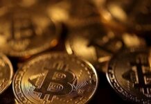 Digital Currencies Face Severe Volatility After Months of Unprecedented Growth