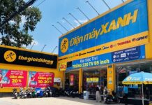 Where Does Dien May Xanh Stand in the Electronics Retail Market Ahead of Its IPO?