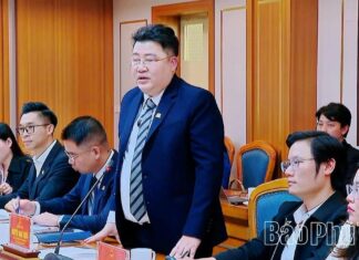 After $67 Billion Railway Ambition, 70-Employee Firm Proposes Billion-Dollar Hospital Project in Phú Thọ