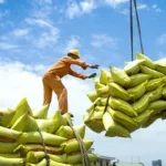 Vietnam Exports 7.5 Million Tons of Rice