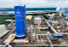 Total Plant Shutdown for Comprehensive Maintenance at Phú Mỹ Fertilizer Plant