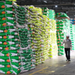 Phú Mỹ Tops Urea Market Share, Aims for Billion-Dollar Revenue