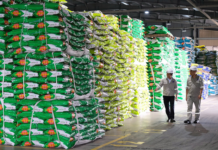 Phú Mỹ Tops Urea Market Share, Aims for Billion-Dollar Revenue