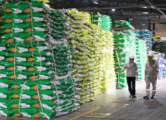 Phú Mỹ Tops Urea Market Share, Aims for Billion-Dollar Revenue