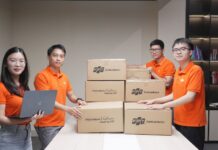 BREAKING: Vietnam Exports First Batch of Power Chips to Japan