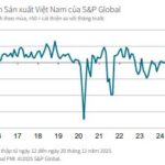 November 2025 PMI: Vietnam’s Manufacturing Sector Sustains Growth Despite Storm Disruptions