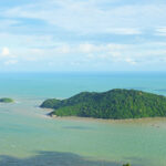 Cà Mau Reallocates Nearly 10 Hectares of Protective Forest for Hòn Khoai Island Road Development