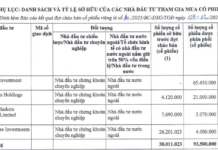 Unveiling the Identities: Four Foreign Funds Acquire 93.5 Million Individual Shares of Dat Xanh