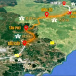 “Speeding Ahead: Sơn Hải Group to Launch 66km ‘Most Beautiful Forest-Crossing’ Highway in Just 10 Days, a Game-Changer for Lâm Đồng and Đồng Nai”