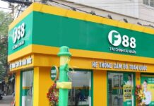 F88 Stock Price Poised to Drop Below $1 Million Mark