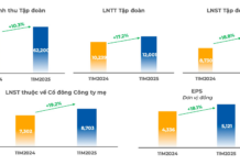 FPT Records Over 62 Trillion VND in 11-Month Revenue, Achieving Double-Digit Profit Growth