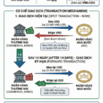 Central Bank Officially Activates Additional Tool to Inject Vietnamese Dong into Banking System