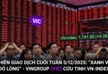 VIC Stock and the Broader Equity Market