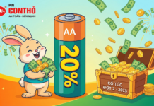 65-Year-Old Hanoi Company Set to Finalize 20% Cash Dividend Payout, with Additional Distribution Pending