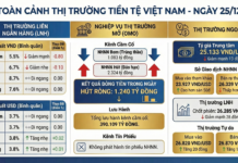 Interbank Overnight Rates Plummet, USD Exchange Rate Tumbles in Latest Currency Market Update
