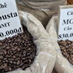Today’s Coffee Prices (Dec 24): Vietnam Leads as Spain’s Top Coffee Supplier