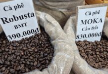 Today’s Coffee Prices (Dec 24): Vietnam Leads as Spain’s Top Coffee Supplier