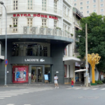 Ho Chi Minh City’s New Land Price Chart: Peak Rates Surpass 687 Million VND/m², Significant Surge in Binh Duong