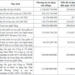 Gemadept Yet to Fully Disburse Funds Raised from 2024 Share Offering