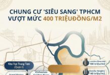 Luxury Condos in Ho Chi Minh City Hit Staggering 450 Million VND/m² Mark