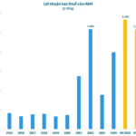 Viconship Seeks to Acquire 14 Million Additional HAH Shares, Boosting Ownership Above 21%