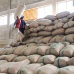 Russia Invests Heavily in Vietnamese Goods: Zero Import Tax, Over 1 Million Tons Annually