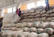 Russia Invests Heavily in Vietnamese Goods: Zero Import Tax, Over 1 Million Tons Annually